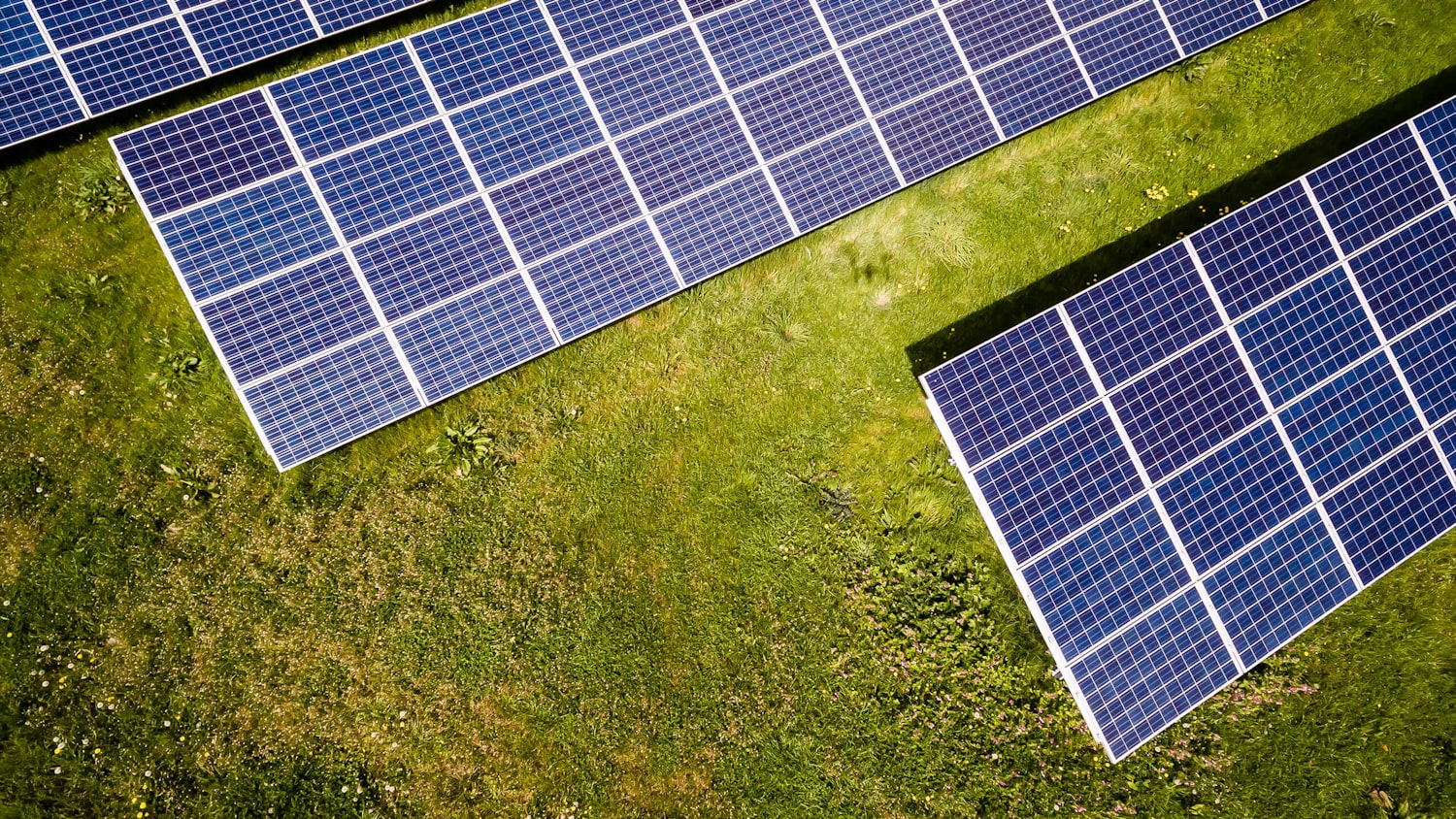 Panels in grass