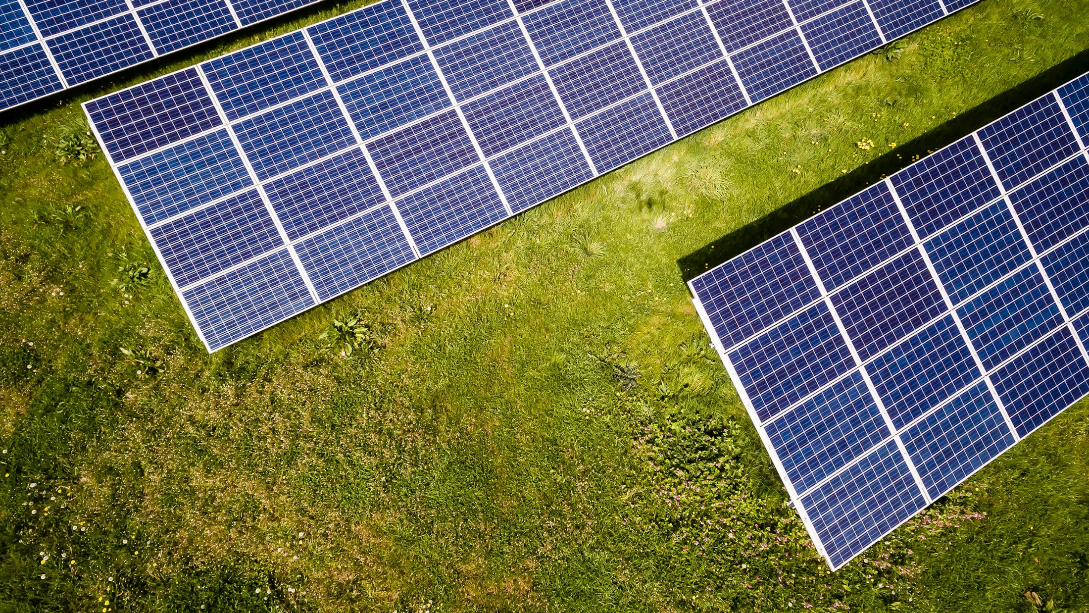 Meadow array with construction grid