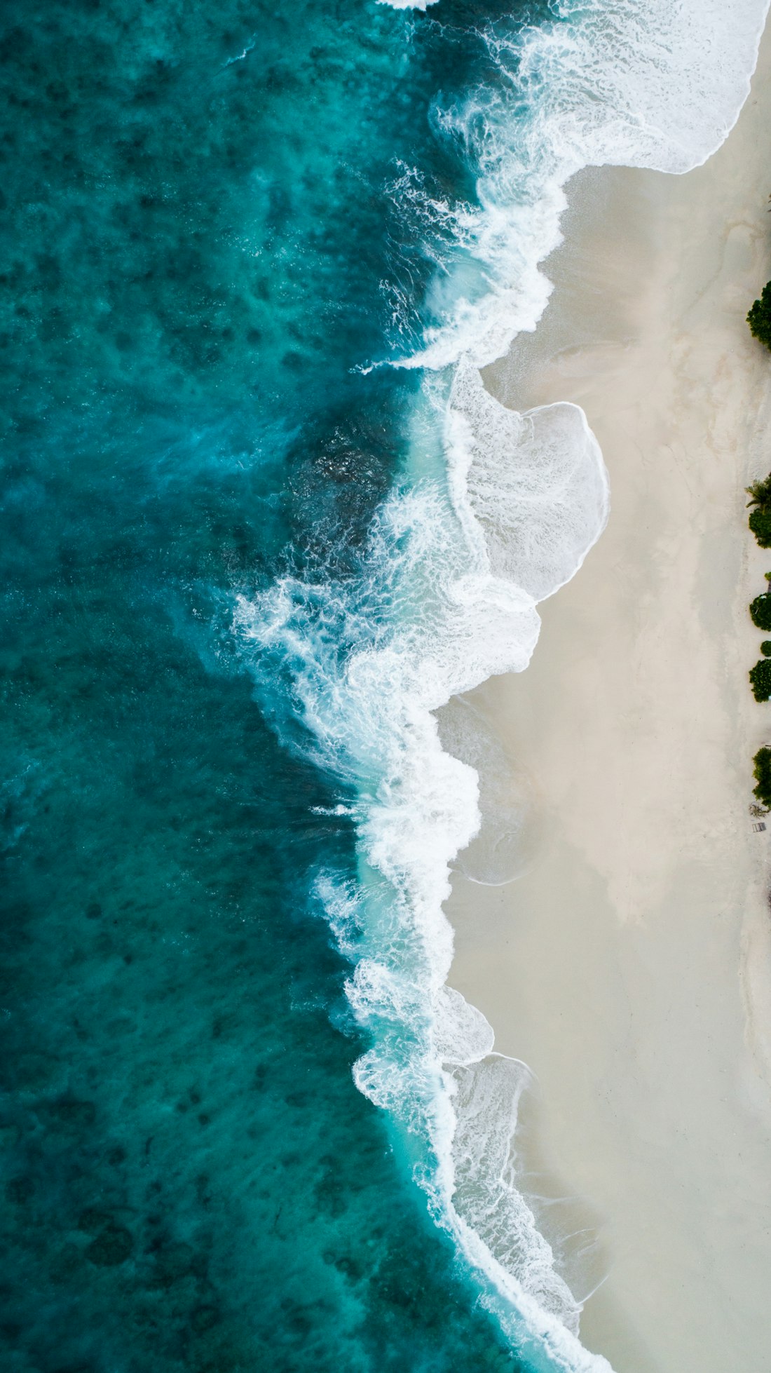 Tidal race from above